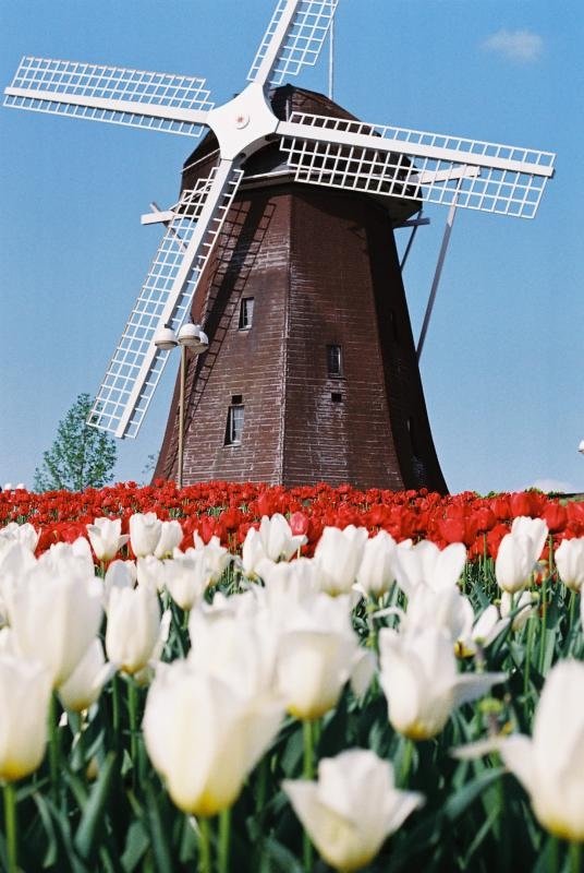 🌳 꽃박람회 기념공원 쓰루미 녹지 이미지 6